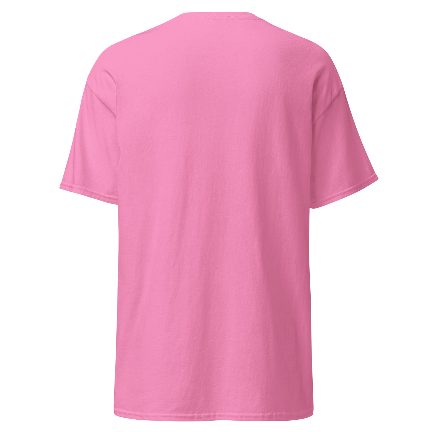 Bayanihan Spirit 2024 Classic Tee (Unisex)