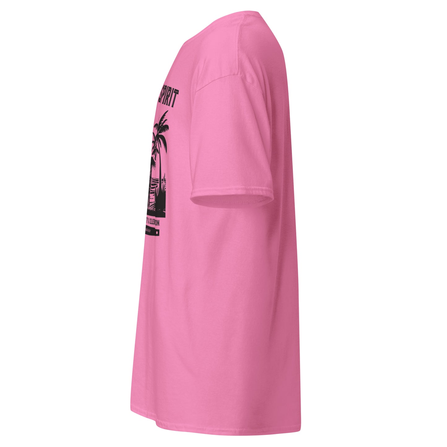 Bayanihan Spirit 2024 Classic Tee (Unisex)