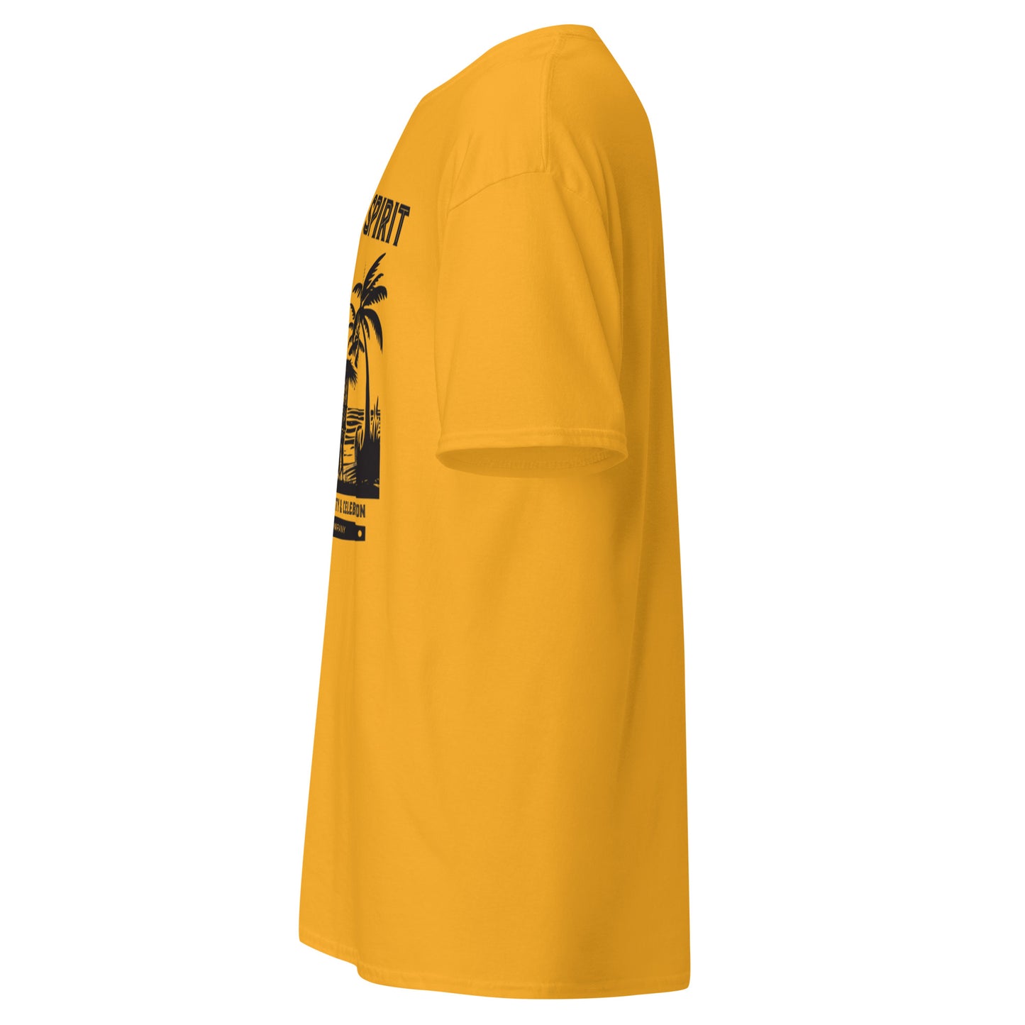 Bayanihan Spirit 2024 Classic Tee (Unisex)